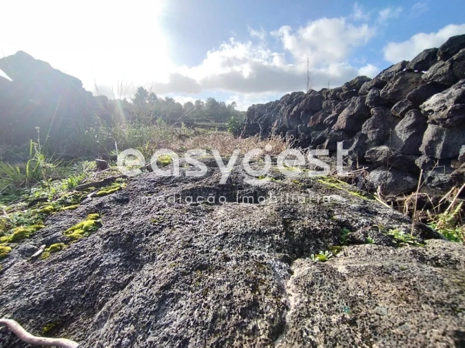 Terreno Agricola ou Rústico para Venda em Santa Luzia Foto 8