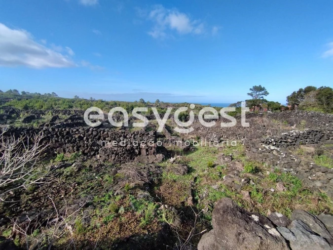 Terreno Agricola ou Rústico para Venda em Santa Luzia Foto 11