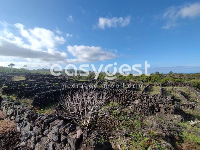 Terreno Agricola ou Rústico para Venda em Santa Luzia Foto 12