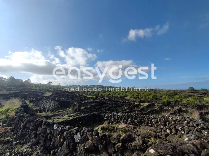 Terreno Agricola ou Rústico para Venda em Santa Luzia Foto 14