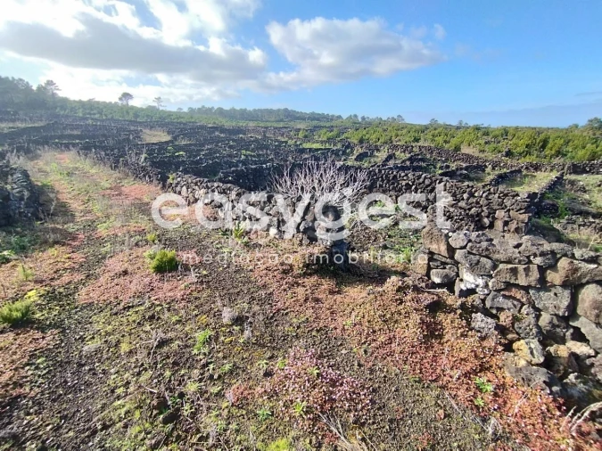 Terreno Agricola ou Rústico para Venda em Santa Luzia Foto 15