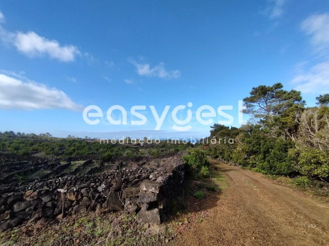 Terreno Agricola ou Rústico para Venda em Santa Luzia Foto 16