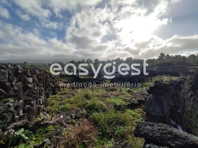 Terreno Agricola ou Rústico para Venda em Santa Luzia Foto 17