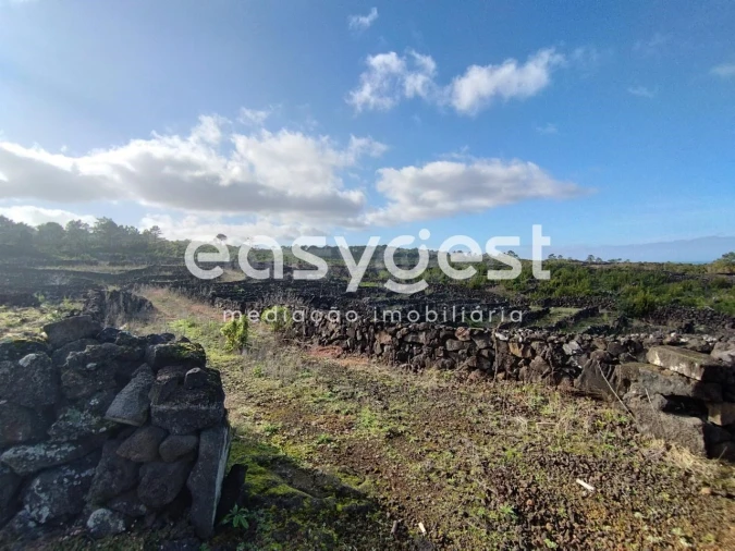 Terreno Agricola ou Rústico para Venda em Santa Luzia Foto 21