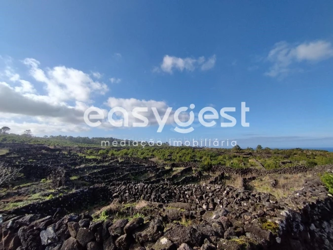 Terreno Agricola ou Rústico para Venda em Santa Luzia Foto 22
