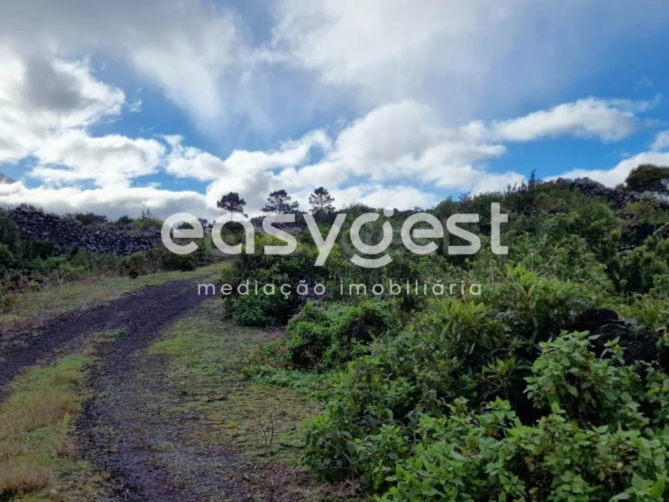 Terreno Agricola ou Rústico para Venda em Bandeiras Foto 1