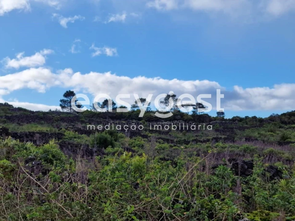 Terreno Agricola ou Rústico para Venda em Bandeiras Foto 5