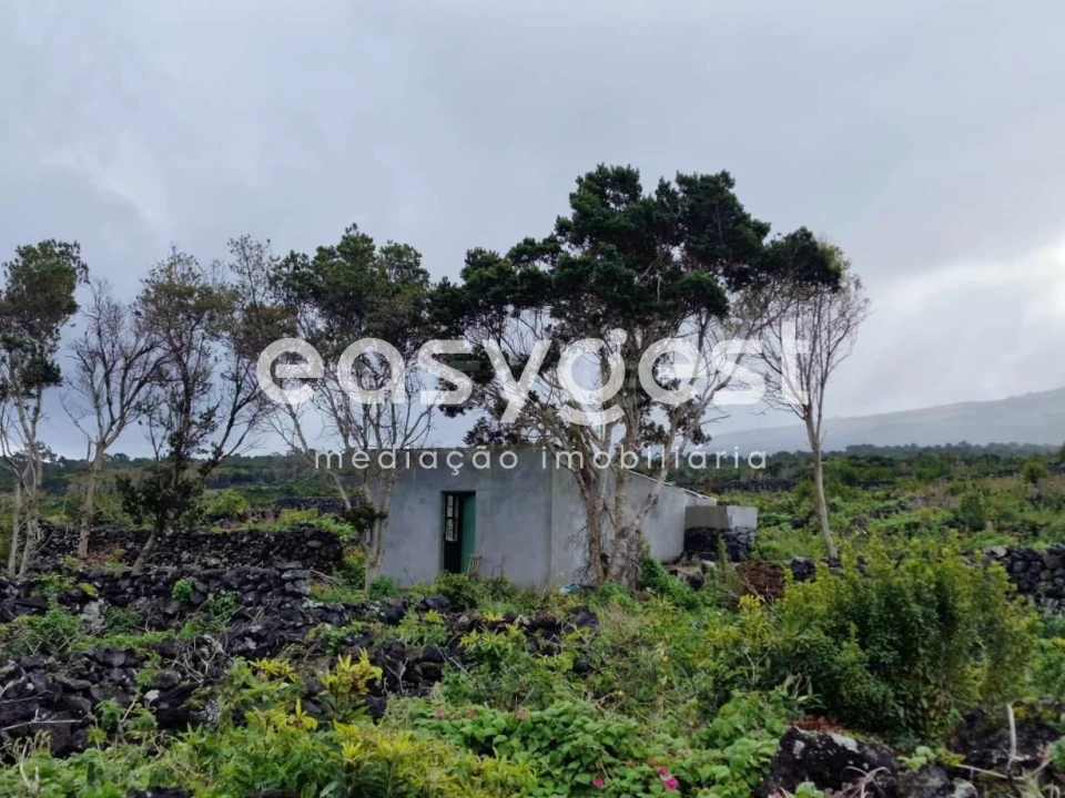Terreno Agricola ou Rústico para Venda em Bandeiras Foto 8