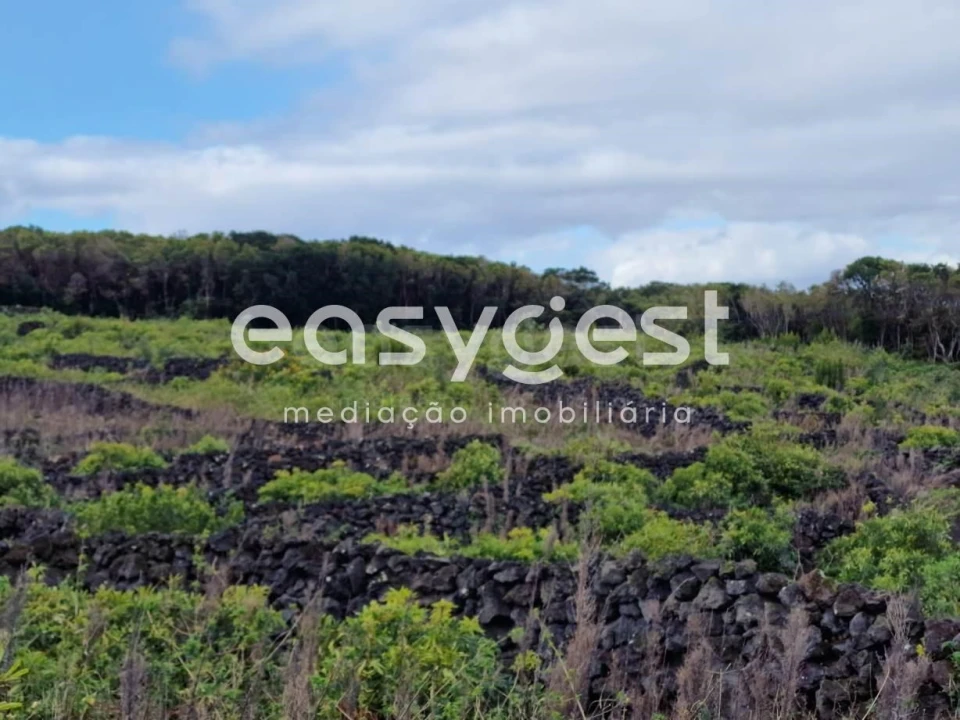Terreno Agricola ou Rústico para Venda em Bandeiras Foto 9