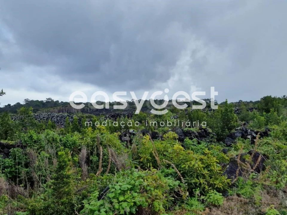 Terreno Agricola ou Rústico para Venda em Bandeiras Foto 10