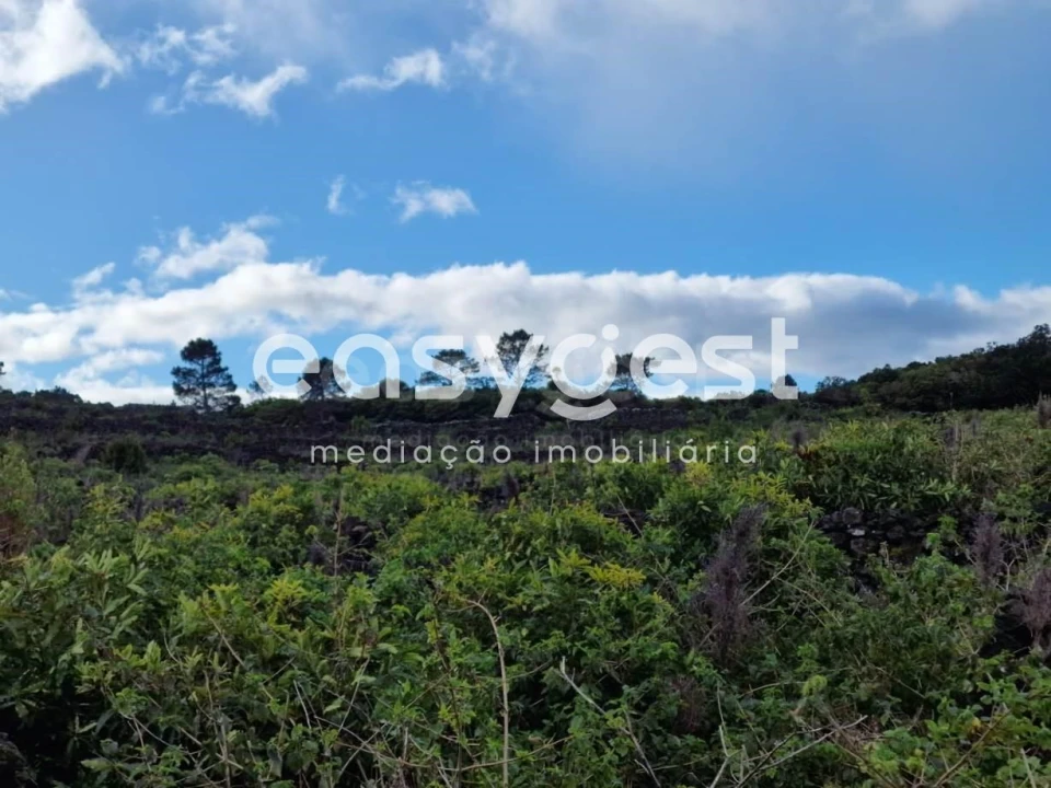 Terreno Agricola ou Rústico para Venda em Bandeiras Foto 12