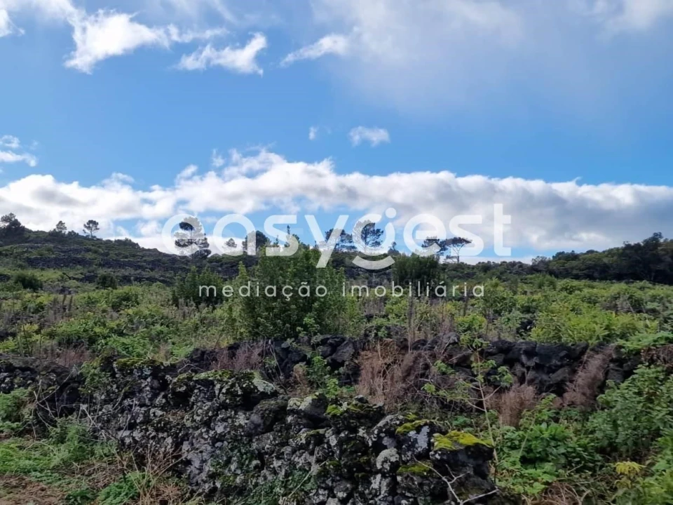 Terreno Agricola ou Rústico para Venda em Bandeiras Foto 14