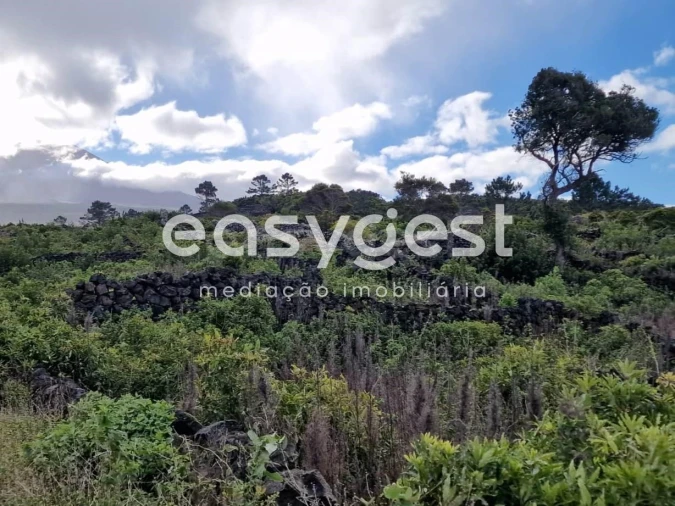 Terreno Agricola ou Rústico para Venda em Bandeiras Foto 3