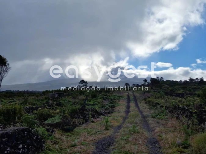 Terreno Agricola ou Rústico para Venda em Bandeiras Foto 7