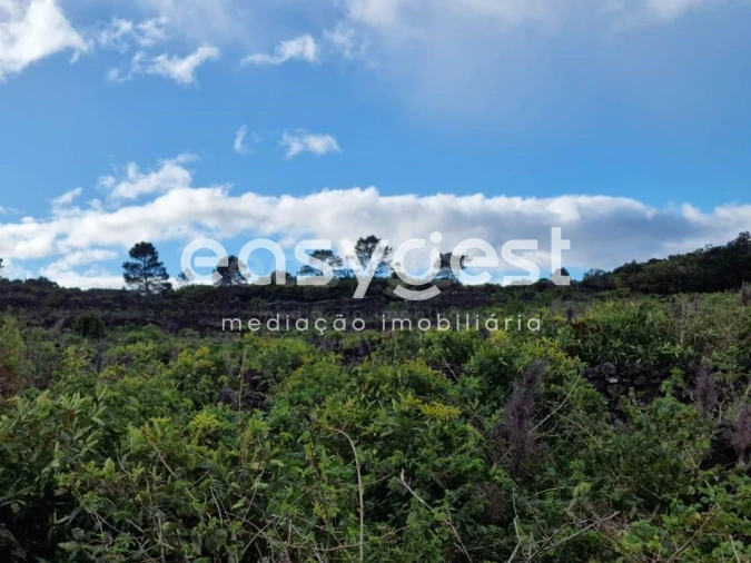 Terreno Agricola ou Rústico para Venda em Bandeiras Foto 12