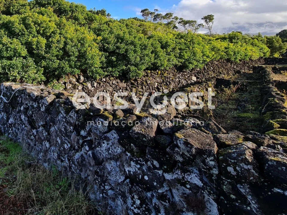 Terreno Agricola ou Rústico para Venda em Bandeiras Foto 10