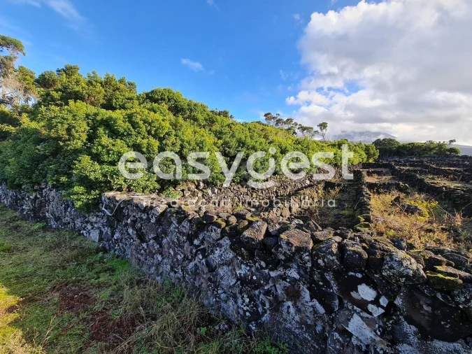 Terreno Agricola ou Rústico para Venda em Bandeiras Foto 4