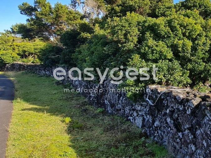 Terreno Agricola ou Rústico para Venda em Bandeiras Foto 8