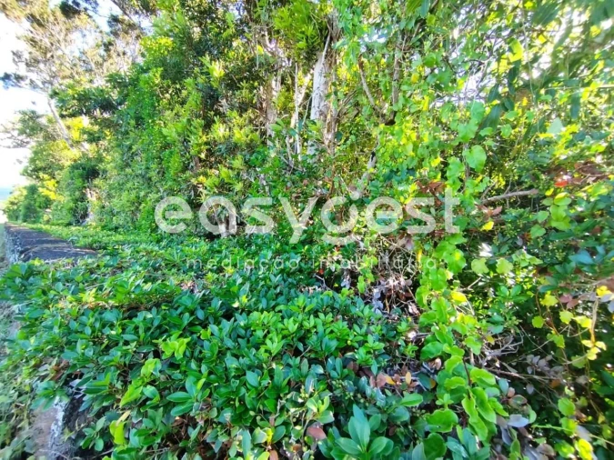 Terreno Agricola ou Rústico para Venda em Bandeiras Foto 13