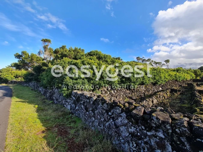 Terreno Agricola ou Rústico para Venda em Bandeiras Foto 24