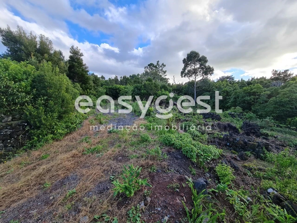 Terreno Agricola ou Rústico para Venda em Bandeiras Foto 8