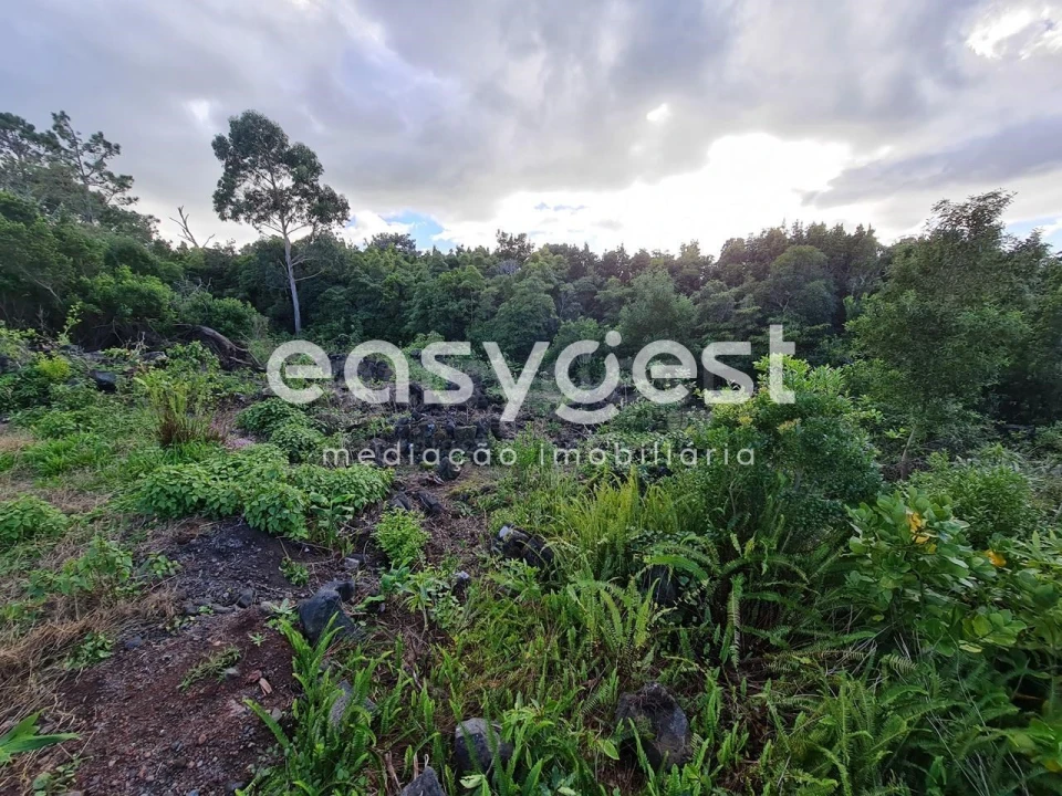 Terreno Agricola ou Rústico para Venda em Bandeiras Foto 9