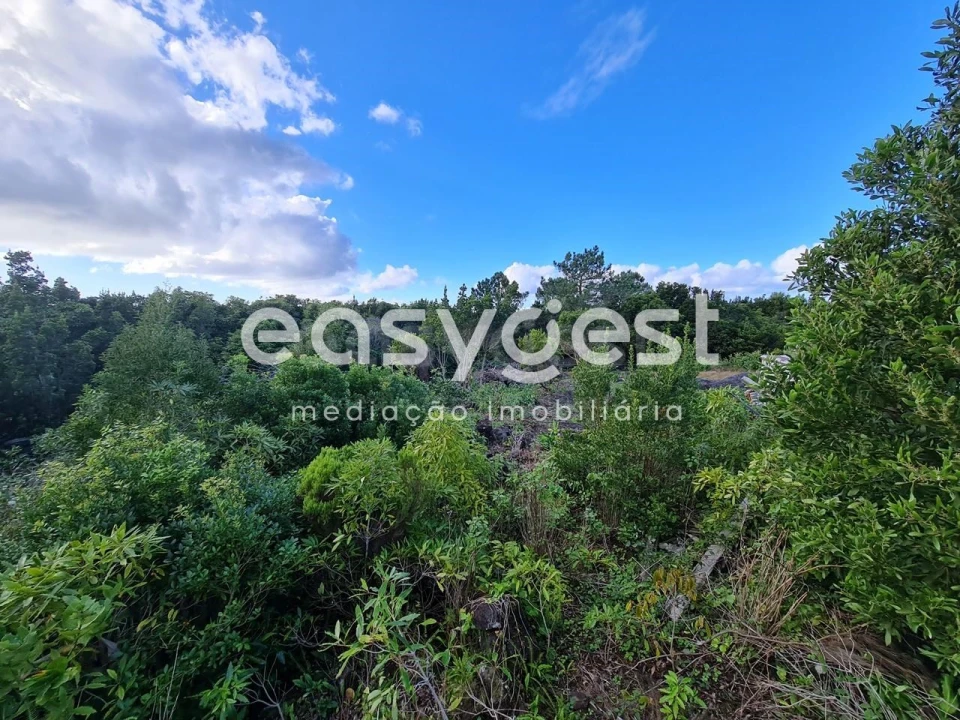 Terreno Agricola ou Rústico para Venda em Bandeiras Foto 10