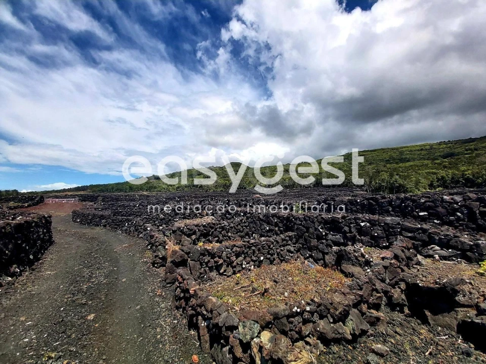 Terreno Agricola ou Rústico para Venda em São Mateus Foto 3
