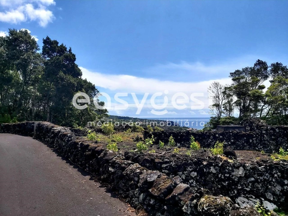 Terreno Agricola ou Rústico para Venda em São Mateus Foto 5