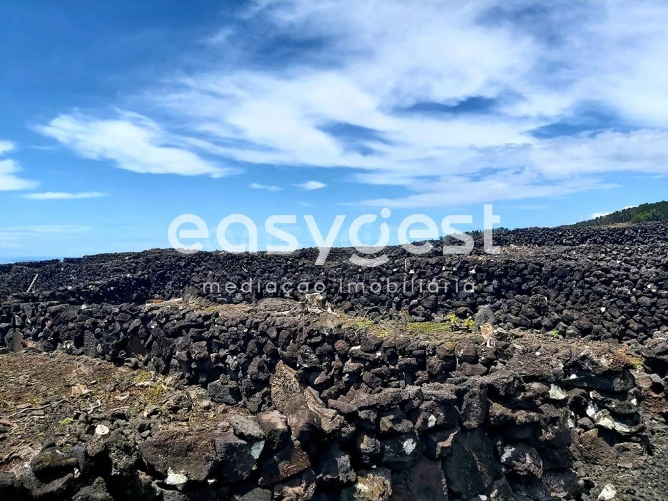 Terreno Agricola ou Rústico para Venda em São Mateus Foto 6