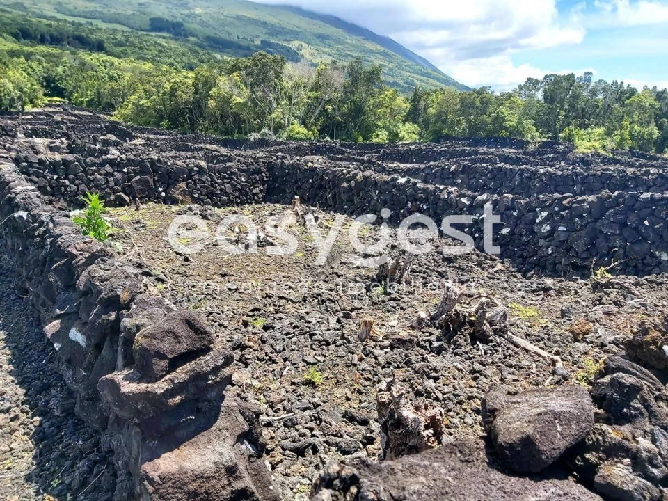 Terreno Agricola ou Rústico para Venda em São Mateus Foto 7