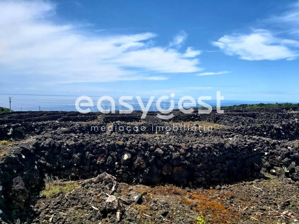 Terreno Agricola ou Rústico para Venda em São Mateus Foto 10
