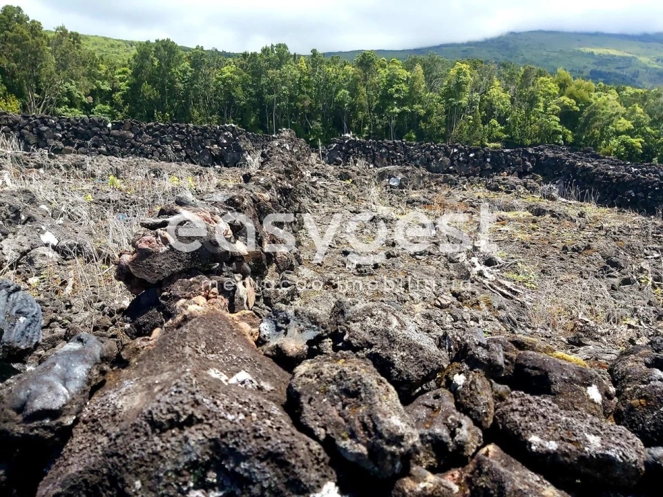 Terreno Agricola ou Rústico para Venda em São Mateus Foto 11