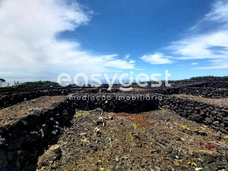 Terreno Agricola ou Rústico para Venda em São Mateus Foto 12