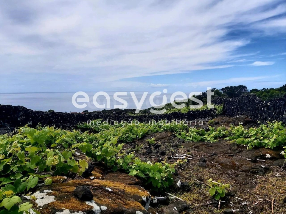 Terreno Agricola ou Rústico para Venda em São Mateus Foto 15