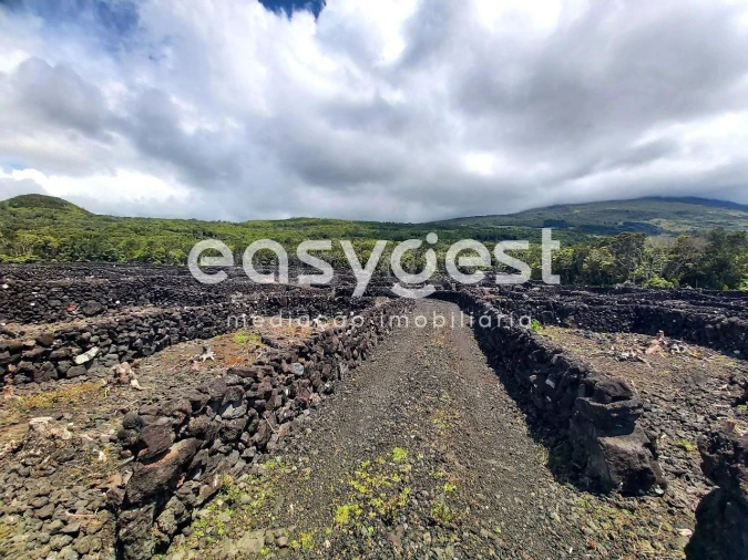 Terreno Agricola ou Rústico para Venda em São Mateus Foto 1
