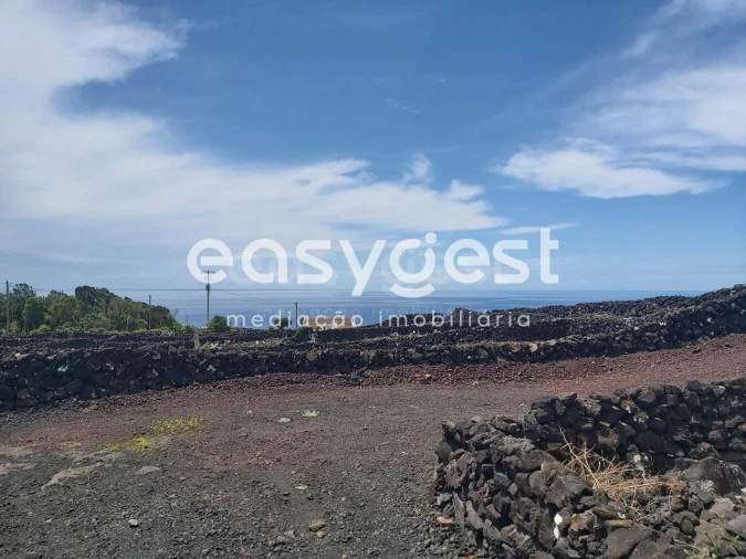 Terreno Agricola ou Rústico para Venda em São Mateus Foto 2