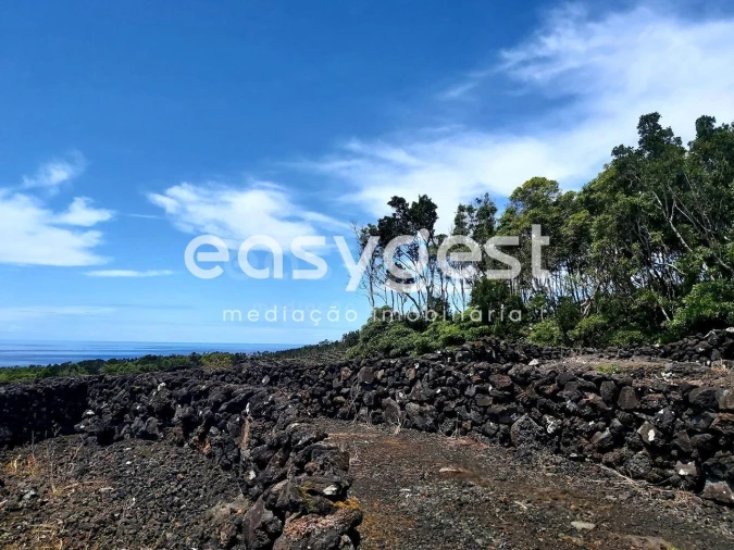 Terreno Agricola ou Rústico para Venda em São Mateus Foto 8