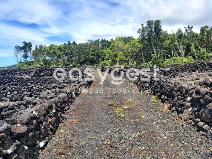 Terreno Agricola ou Rústico para Venda em São Mateus Foto 9