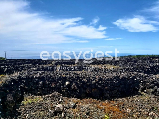 Terreno Agricola ou Rústico para Venda em São Mateus Foto 10