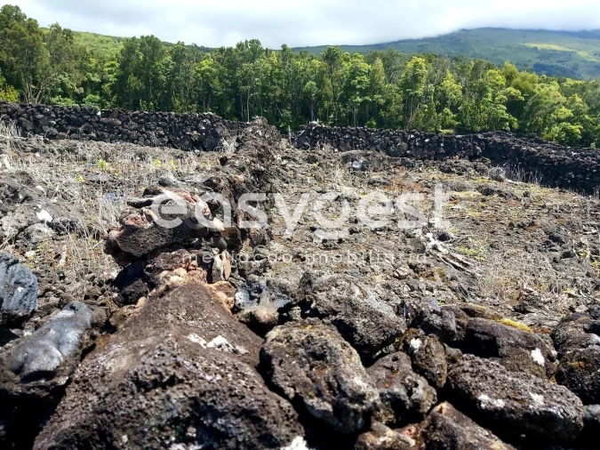 Terreno Agricola ou Rústico para Venda em São Mateus Foto 11