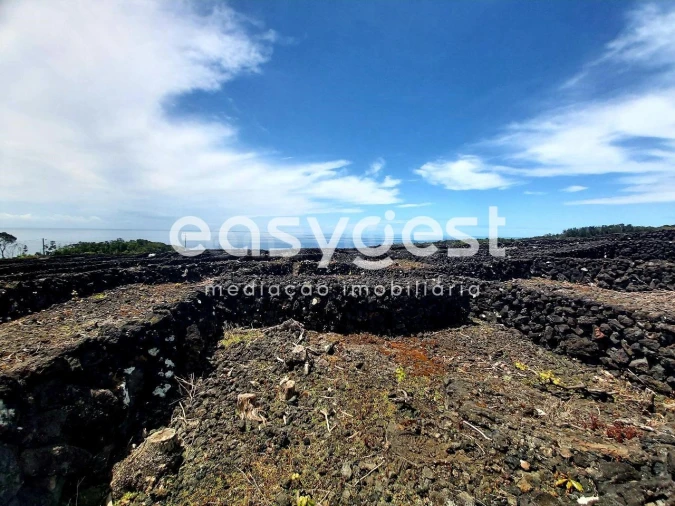 Terreno Agricola ou Rústico para Venda em São Mateus Foto 12
