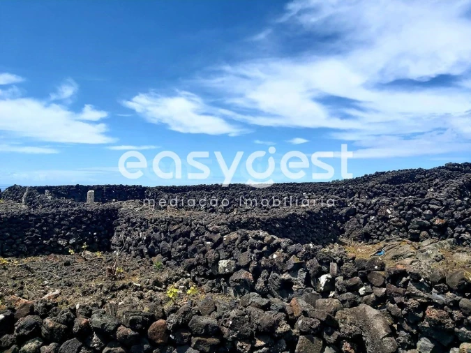 Terreno Agricola ou Rústico para Venda em São Mateus Foto 13