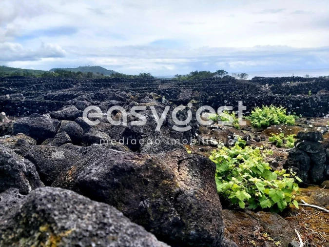 Terreno Agricola ou Rústico para Venda em São Mateus Foto 14