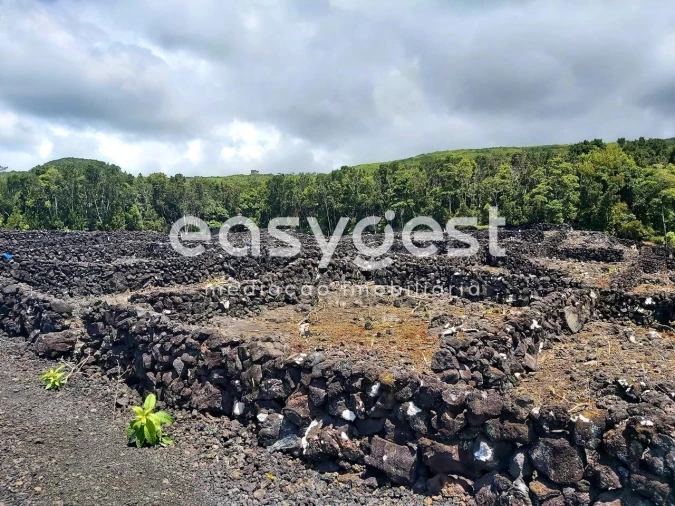 Terreno Agricola ou Rústico para Venda em São Mateus Foto 16
