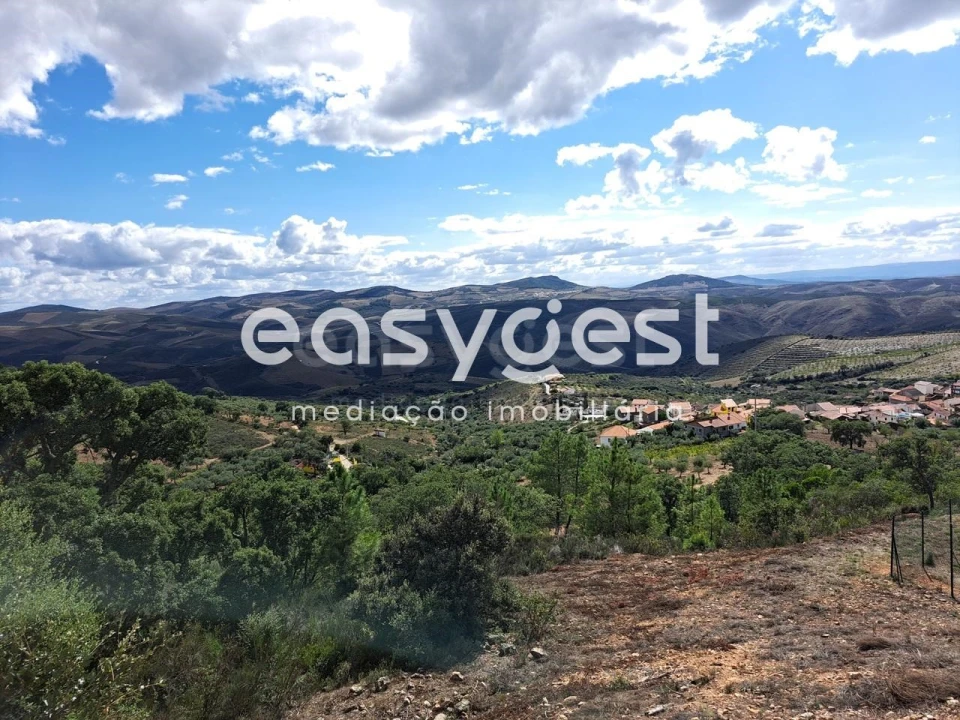 Armazém para Venda em Felgueiras e Maçores Foto 12