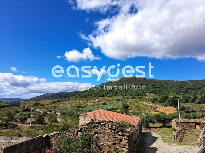 Armazém para Venda em Felgueiras e Maçores Foto 10