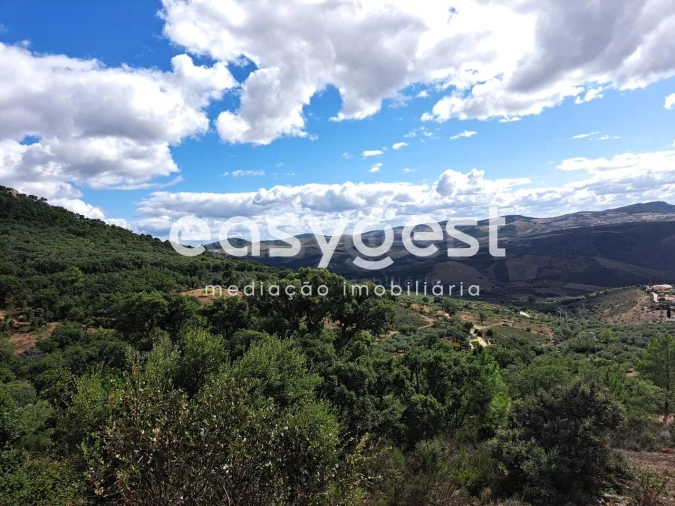 Armazém para Venda em Felgueiras e Maçores Foto 11