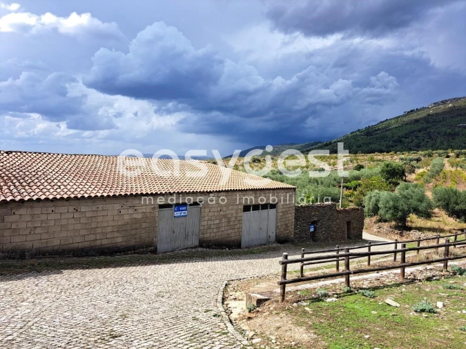 Armazém para Venda em Felgueiras e Maçores Foto 4