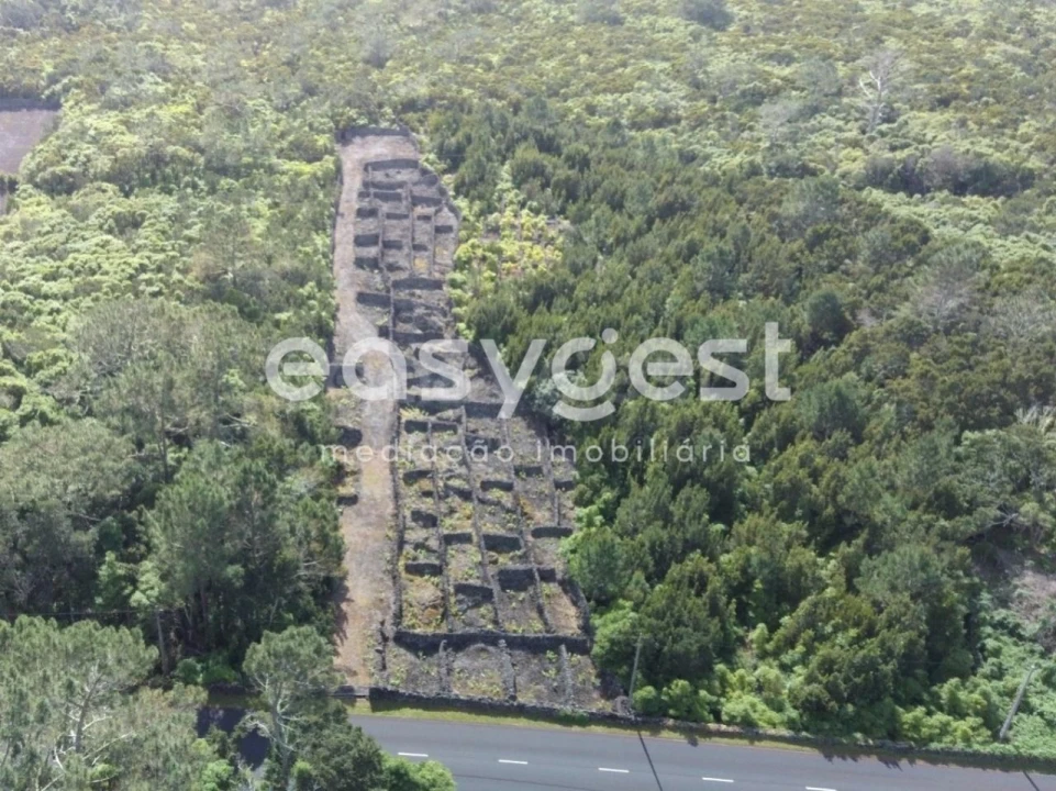 Terreno Agricola ou Rústico para Venda em Candelaria Foto 2